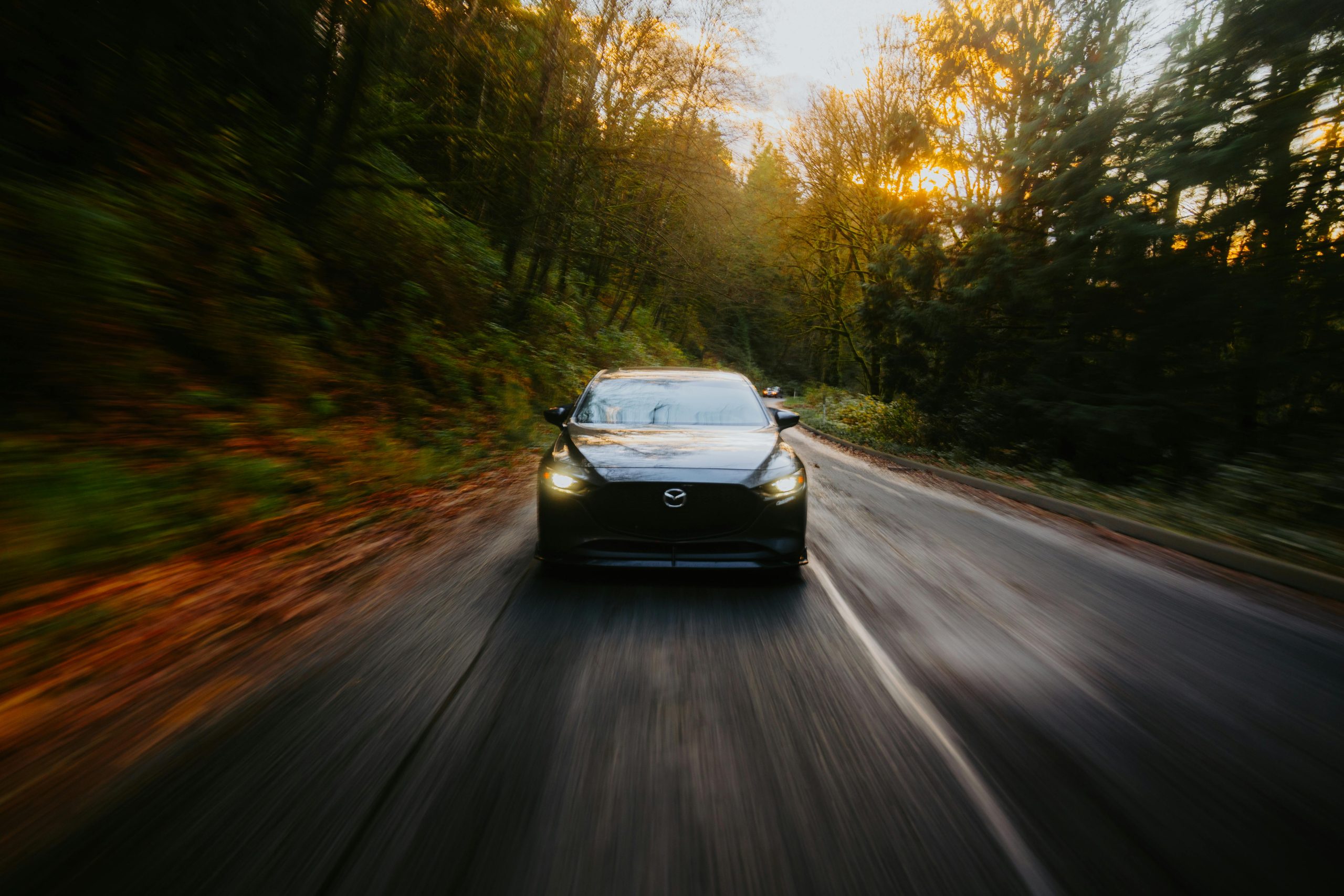 Car speeding through scenic forest road