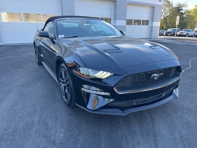 2023 Ford Mustang EcoBoost Premium